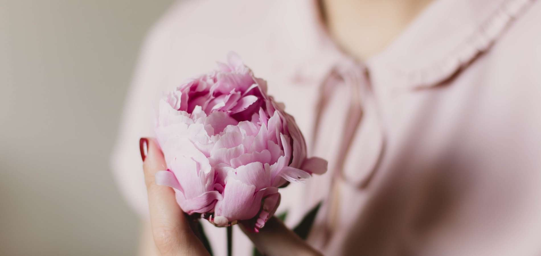 Manos de mujer sujetando una flor